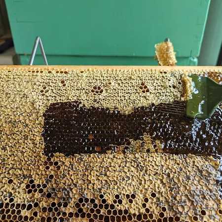 The Bee - Trekkershuts &